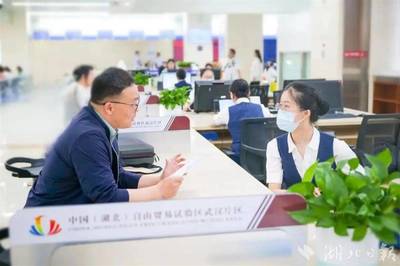 光谷率先設立全國首個低空經(jīng)濟服務窗口，提供專業(yè)經(jīng)濟信息咨詢